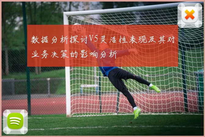 数据分析探讨V5灵活性表现及其对业务决策的影响分析