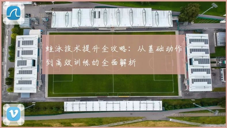 蛙泳技术提升全攻略：从基础动作到高效训练的全面解析