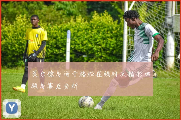 莫尔德与海于格松在线对决精彩回顾与赛后分析