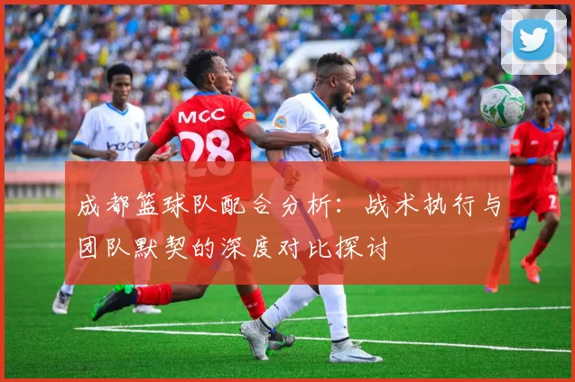 成都篮球队配合分析：战术执行与团队默契的深度对比探讨