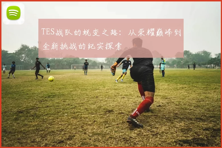 TES战队的蜕变之路：从荣耀巅峰到全新挑战的纪实探索