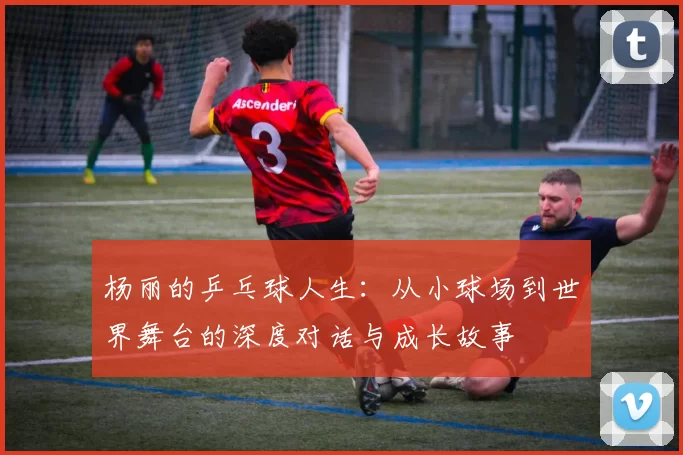 杨丽的乒乓球人生：从小球场到世界舞台的深度对话与成长故事