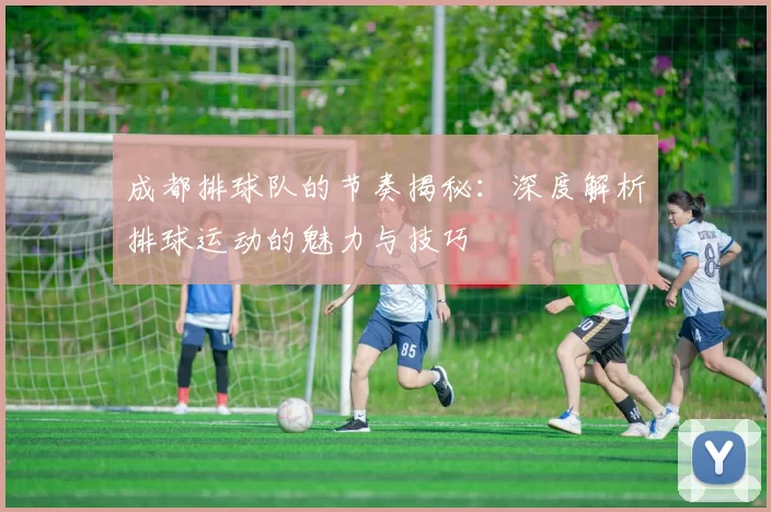 成都排球队的节奏揭秘：深度解析排球运动的魅力与技巧