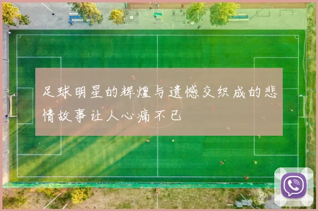 足球明星的辉煌与遗憾交织成的悲情故事让人心痛不已