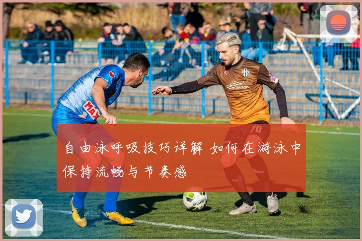 自由泳呼吸技巧详解 如何在游泳中保持流畅与节奏感