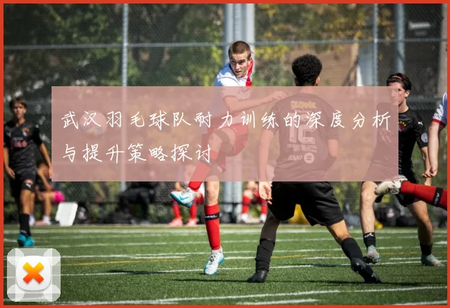 武汉羽毛球队耐力训练的深度分析与提升策略探讨