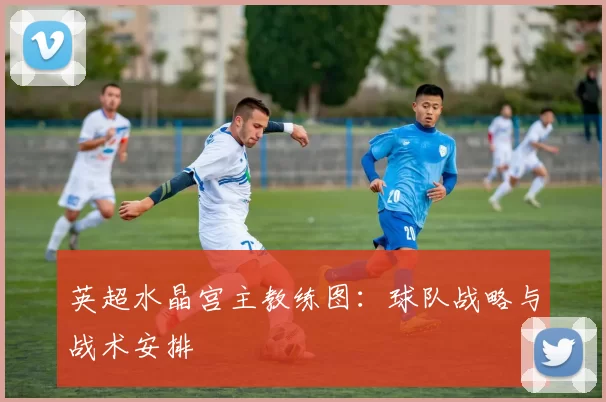 英超水晶宫主教练图：球队战略与战术安排