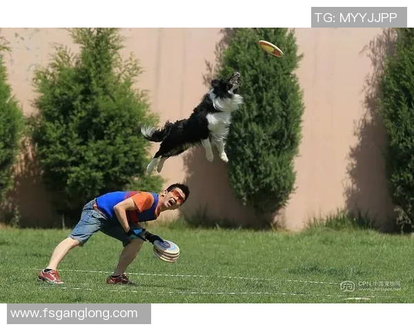 广州飞盘队在极限运动世界杯中的精彩表现与实力分析