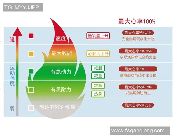 提升心肺功能与健康水平的有氧运动全方位指南与实用技巧