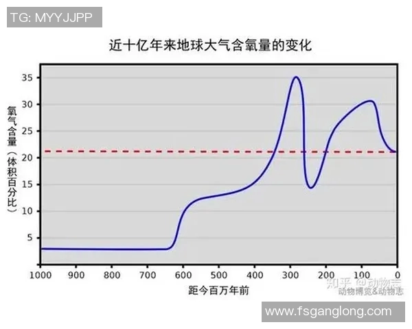 灰熊的生存智慧与生态影响探秘：从栖息地到食物链的全面分析