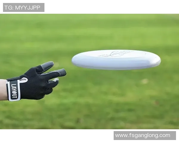 飞盘灵活性排行榜揭晓杭州飞盘队表现卓越名列前茅