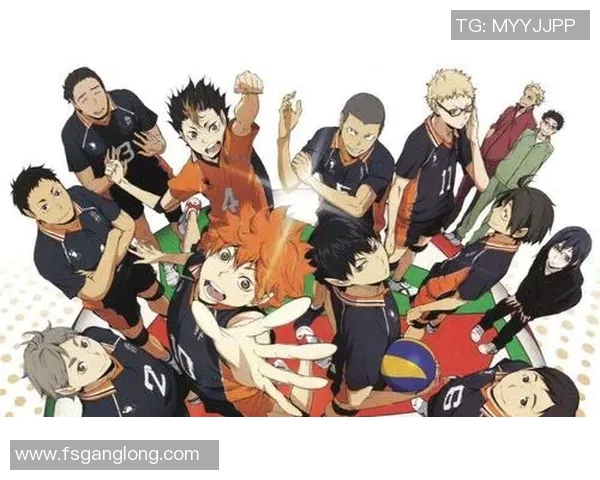 北京排球队的奋斗与荣耀：一段不平凡的排球历程全景纪实